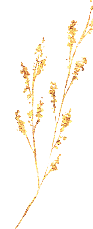 gogosisterhood-leaf-overlay