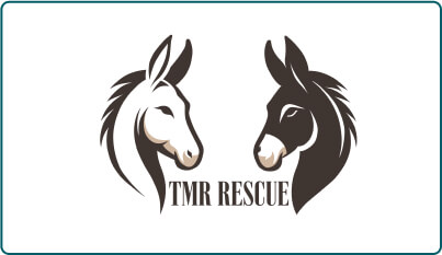 TMR Rescue